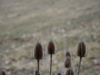 La ferme des Résistants à Curienne