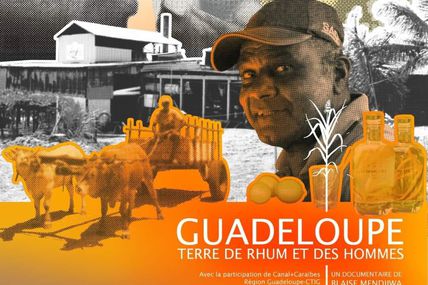 Le documentaire « Guadeloupe, Terre de Rhum et des Hommes » primé au festival Paris Art&Movies Awards 2021 !