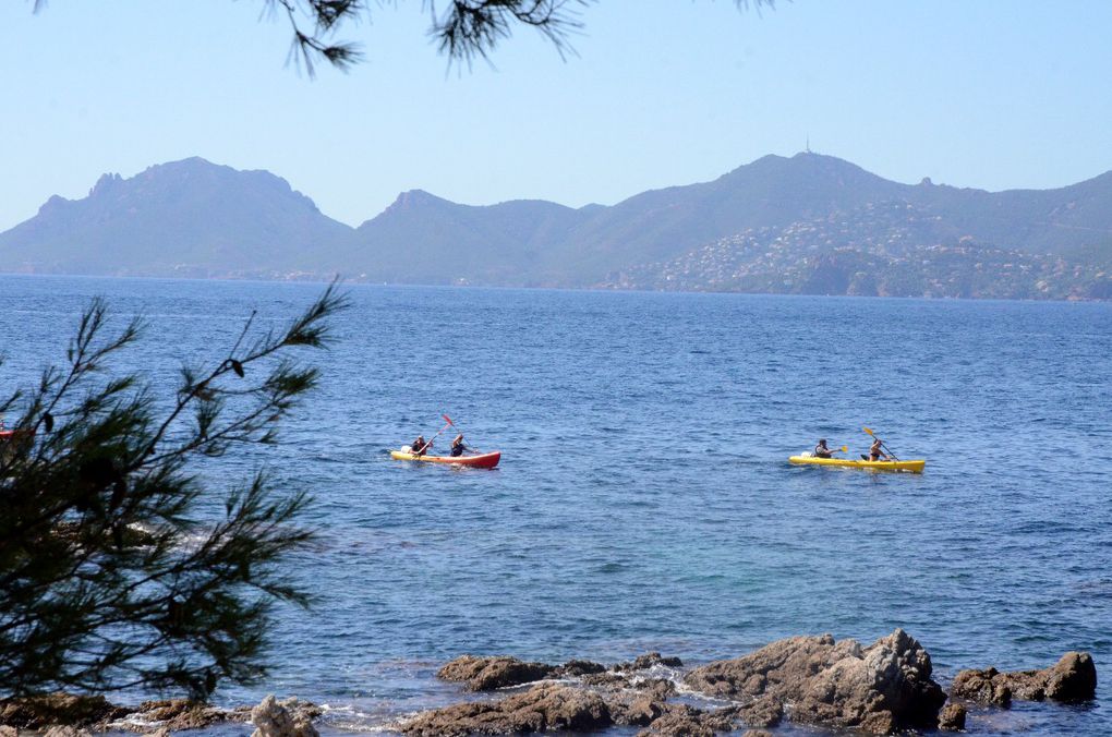 L’ARCHIPEL DE LERINS DES ILES AU GOUT DE PARADIS