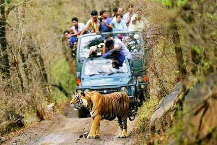 Wildlife Safari open on 16 Nov. 2017