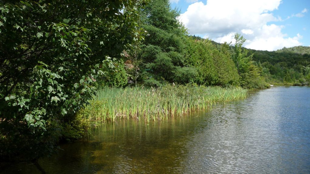 Ballade et patie de peche sur le lac Saint Adolph d'Howard