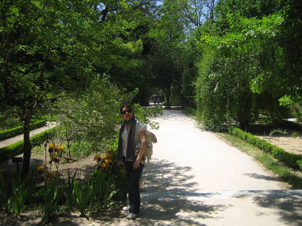 Visite en photos du magnifique jardin botanique situé en plein centre de Madrid juste à côté du musée du Prado.