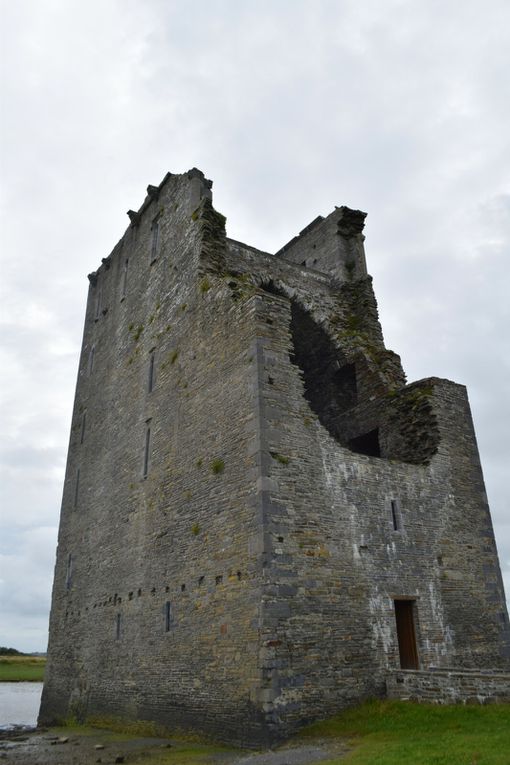 Carrigafoyle Castle
