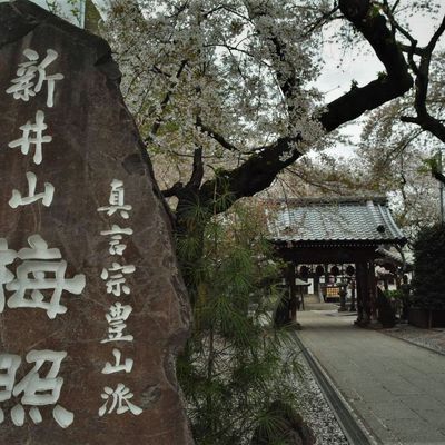 Araiyakushi Baishôin Temple