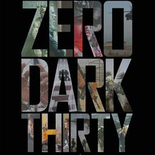 ZERO DARK THIRTY (2013)