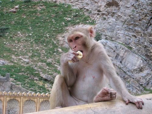 
parce qu'on aime bien les photos d'animaux... voilà, c'est dit...