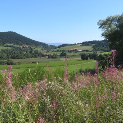 Les Narces de la Sauvetat (1)/ Balade en Haute-Loire