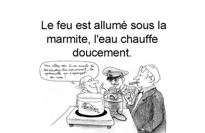 La grenouille mise à cuire à l'eau froide