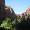 Zion National Park