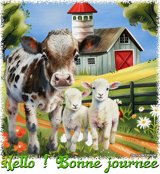 Hello - Bonne journée - vache - moutons - gif animé-a