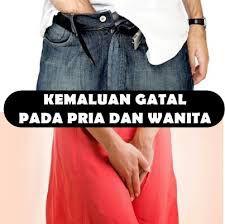 Daftar Harga Obat Gatal Pada Kelamin (Sipilis)