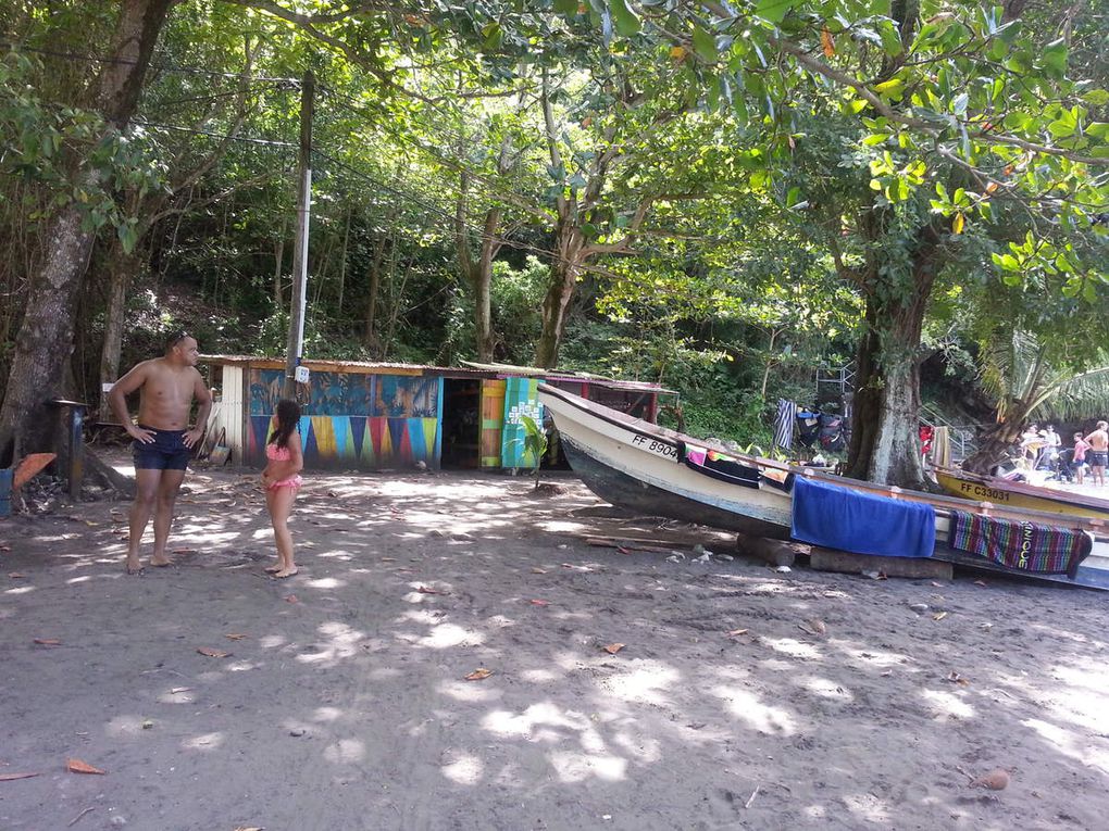 Les fêtes en Martinique, ça bouge ! 