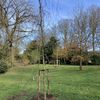 L'arbre de l'UAD