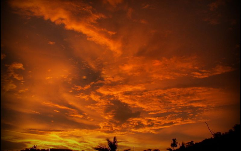 Ciel flamboyant mahorais