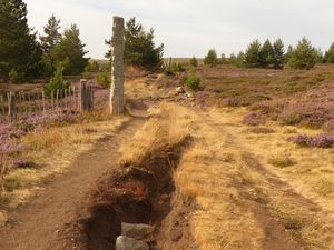 En longeant de hautes "montjoies" de granit( monceaux de pierrres indiquant le chemin que Stevenson suivit)