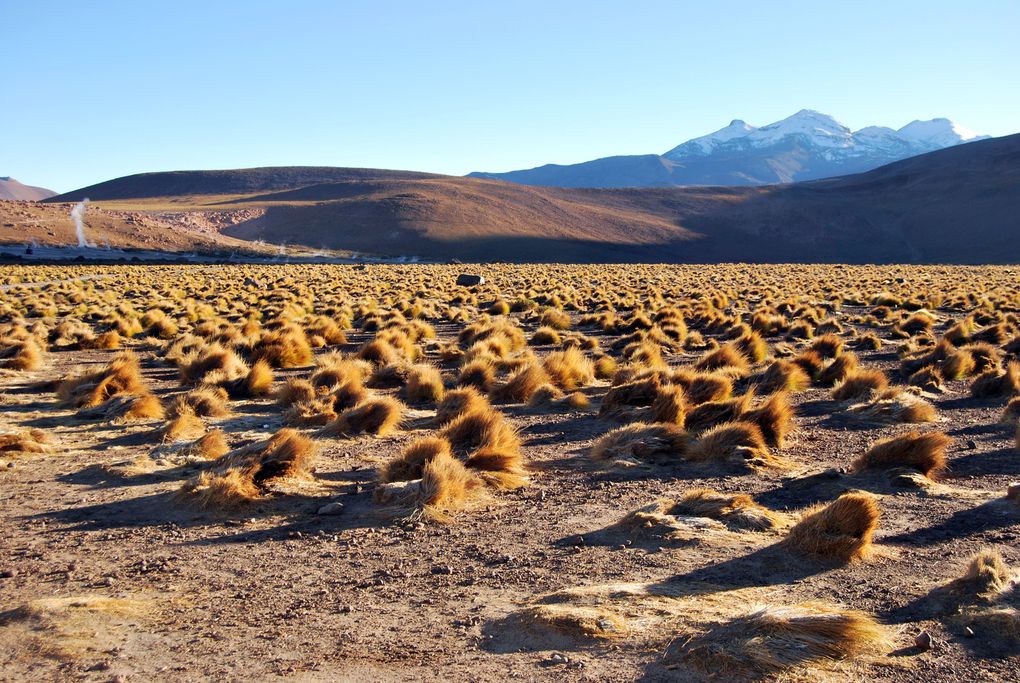 Album - San-Pedro-Atacama