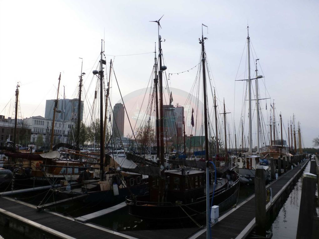 Bienvenue à Rotterdam, le plus grand port Européen ! Cette ville très dynamique de 634 253 habitants se situe sur la Meuse. Son port s'étend d'ailleurs sur 42km de berges où plus de 400MT y sont traitées chaque année dont 12M d'EVP faisant de Rotterdam le 8° port au Monde.