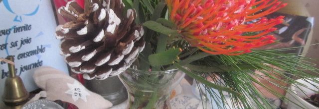 des envies de cocooning
