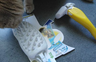 Oliver a testé l'outil brosse soft massage de FoOlee !