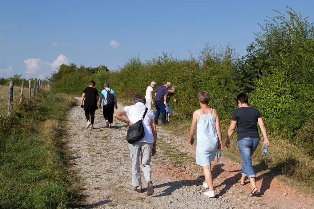 Album - Thuillieres (Sept.-2012)