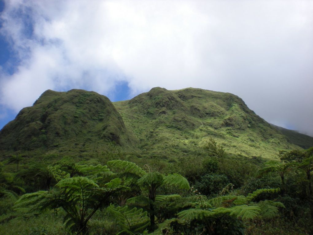 Album - Martinique 2011 - Montagne-Pelee