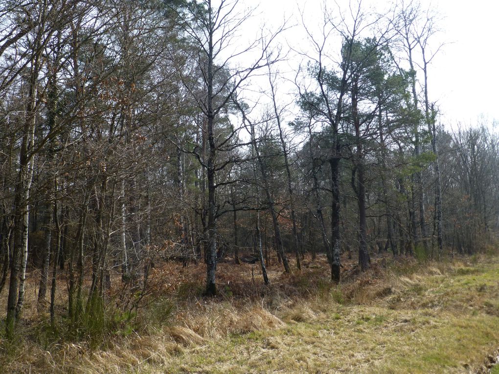 De la Beauce à Orléans, et un parapluie posée là sur le bord du chemin...