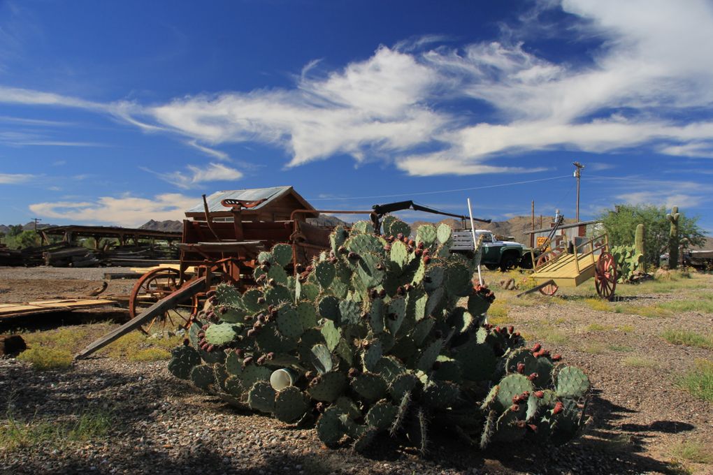 Album - Arizona