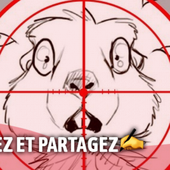 Aidez-moi à faire avancer ce combat : Exigeons l'interdiction de la chasse à la marmotte