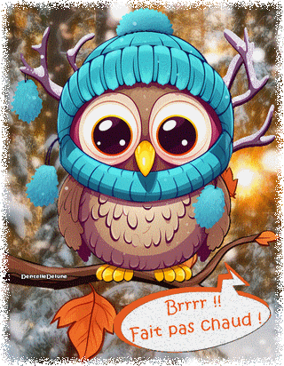 Brrr - fait pas chaud - chouette transie de froid - gif animé - les gifs  animés de dentelledelune