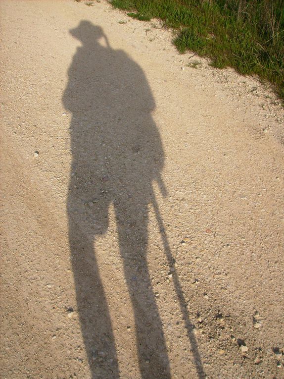 Les premières photos de notre dernière aventure vers Saint-Jacques de Compostelle, de Logroño à Leon