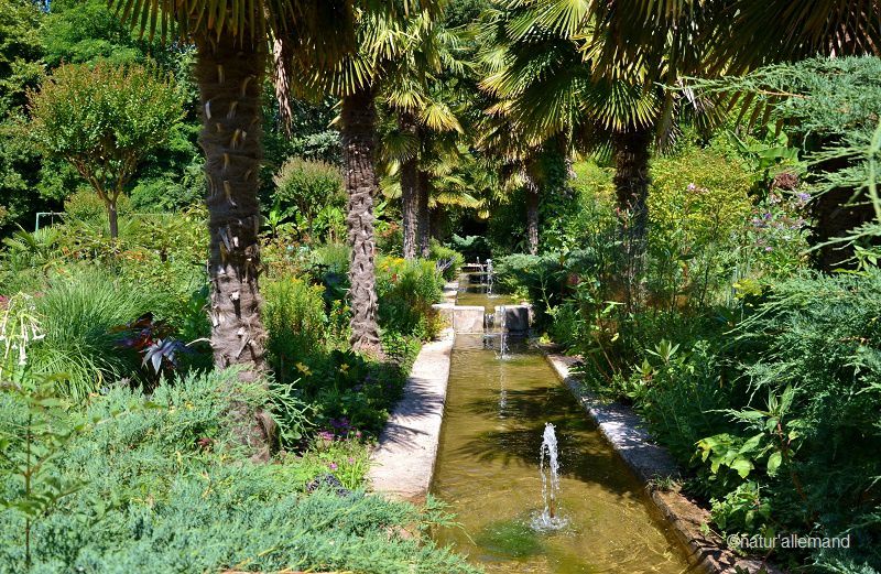 Parc Floral et Tropical de la Court d'Aron - Saint Cyr en Talmondais