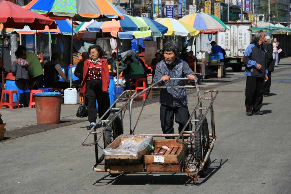 De Séoul à Busan, quelques clics pour immortaliser huit jours au pays du malte calme.