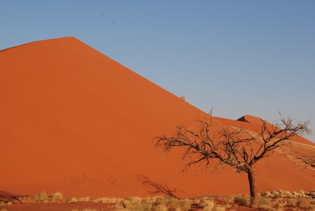 Album - Desert-du-Namib