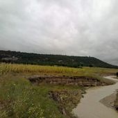 Territorio