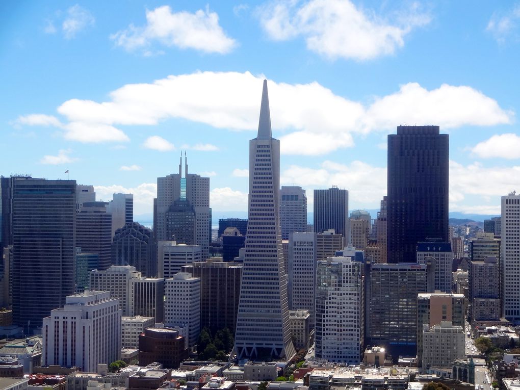 1ère escale sur la côte californienne : San Francisco