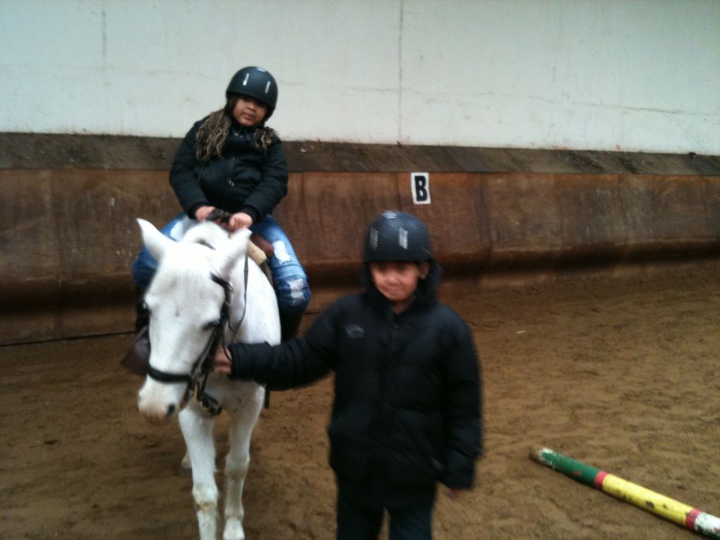 Les élèves de l'école Louise Michel et leurs poneys...