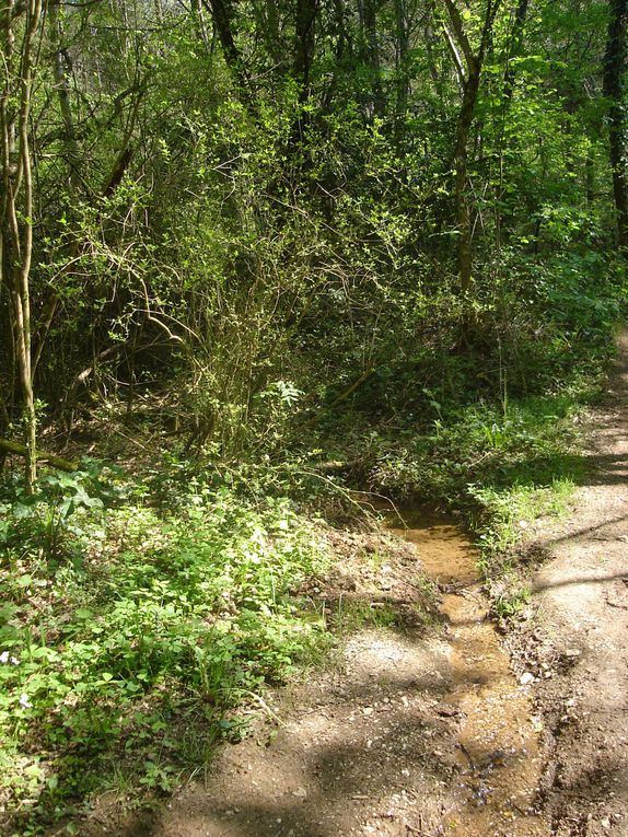 Diverses randonnées, essentiellement dans le Tarn