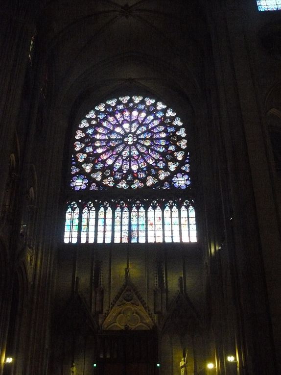 Visite de Notre-Dame de Paris le 15/11/2013