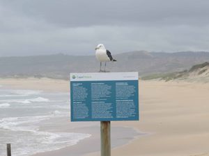 LA ROUTE DES JARDINS (Knysna et Mossel Bay)