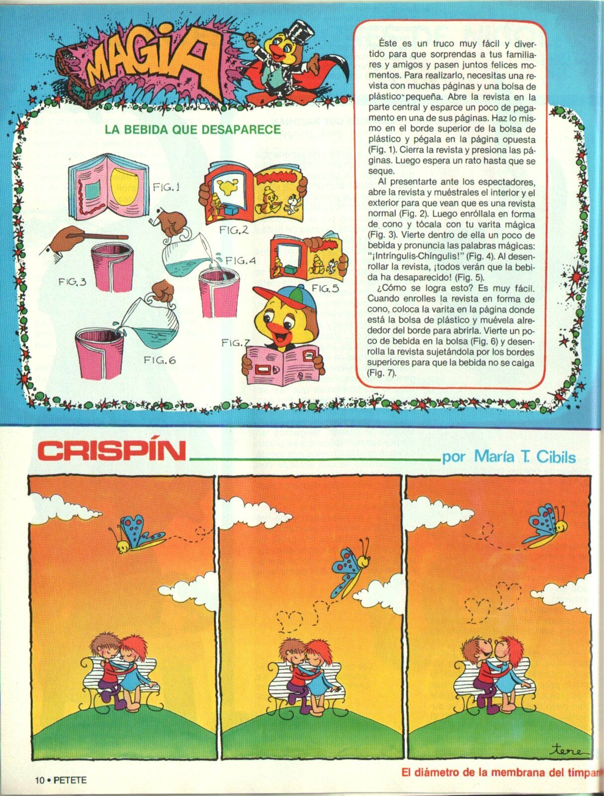 Revista Petete...Vol...6