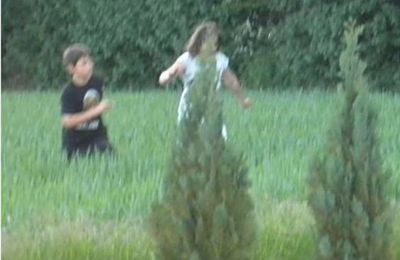 Une partie de gamelle dans le champ de blé