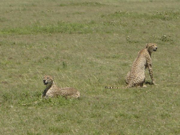 Quelques photos du voyage en Tanzanie en F&eacute;vrier