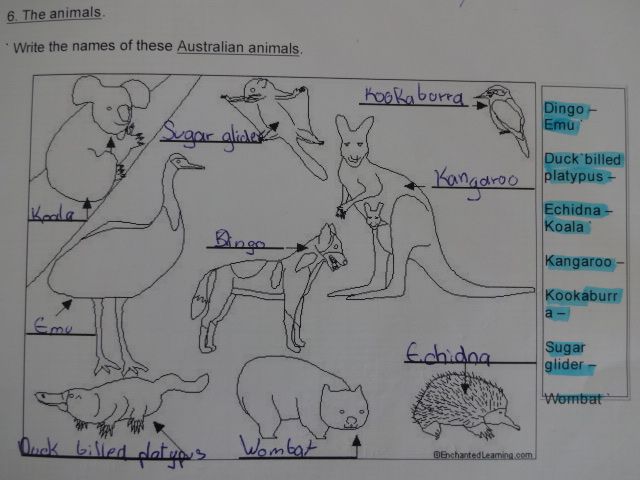 Nos questionnaires d'anglais