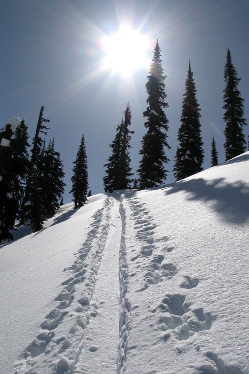 Deux mois bien charges : ski de rando entre Colombie Britannique et Alberta, kayak sur Vancouver Island, visite de Toronto et Ottawa, canoe en Ontario, debut du printemps a Montreal et Mont Tremblant, chutes du Niagara et decouverte du Nouveau Brunsw