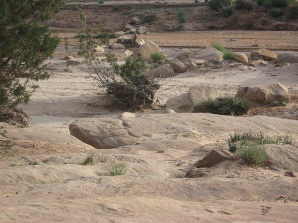 PHOTOS D'EL GHICHA (AFLOU-Laghouat)