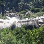 Une société de protection de la nature du Languedoc-Roussillon confirme la destruction d’une...