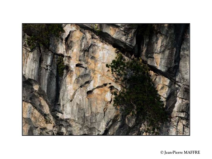 La baie Halong est l'une des merveilles les plus incroyables de la nature qui nous surprend sans cesse par ces innombrables graphismes de pierres..