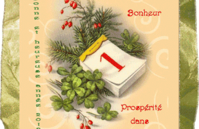 Bonne année 2012