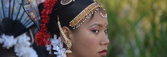 Dipavali 2012 (les éventails)