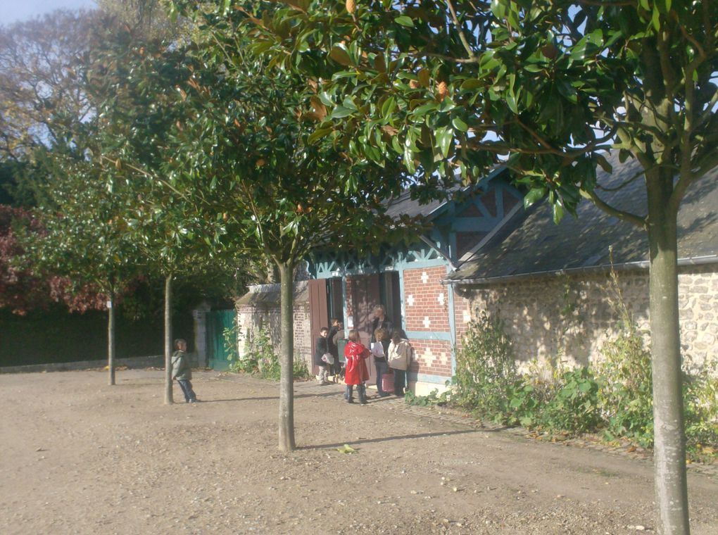 photos du Jardin des plantes de Rouen